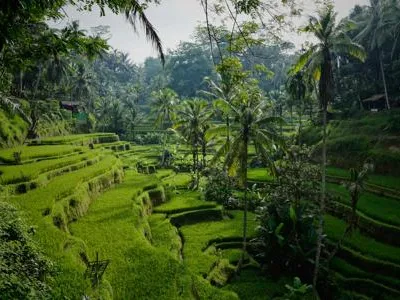 Bild Beste Reisezeit Bali