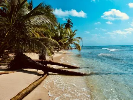 Bild Beste Reisezeit Karibik