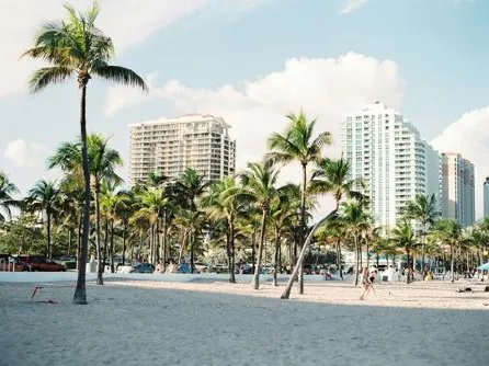 Bild Beste Reisezeit Miami