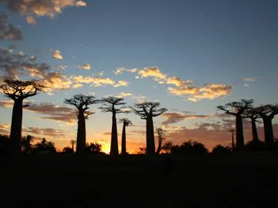 Bild Beste Reisezeit Madagaskar